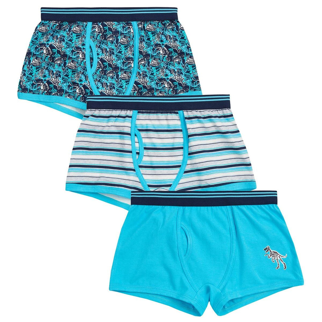 Boys 3pcs blue print boxers
