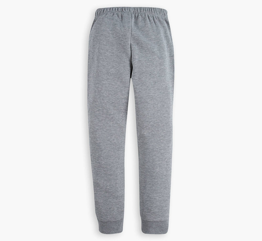 Fleece boys joggers in grey