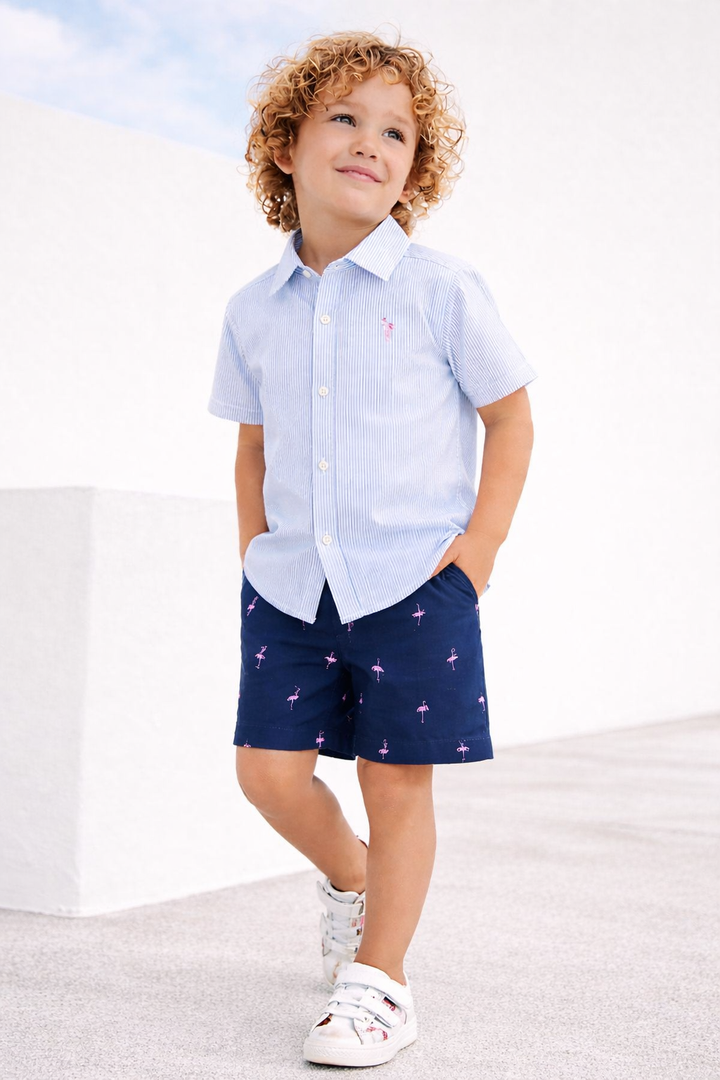 Flamingo 2piece set for boys