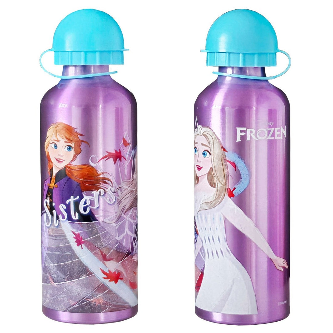 Frozen aluminium 500ml bottle