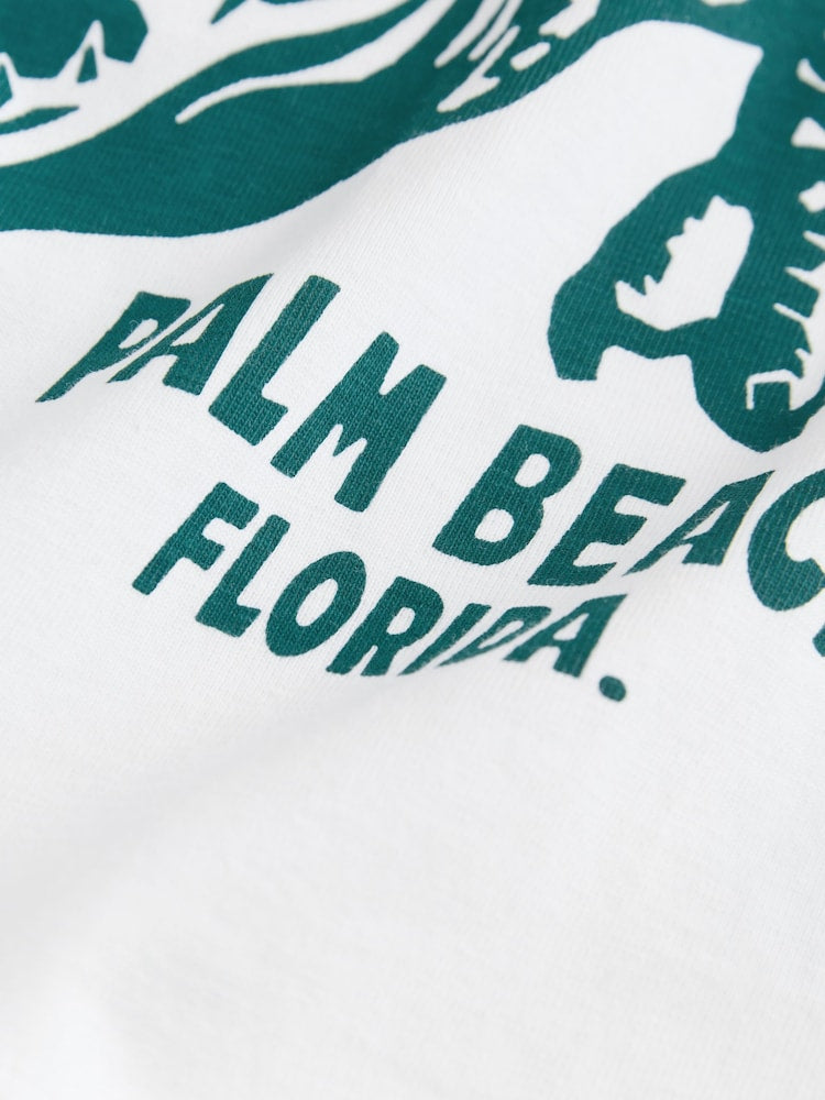 Next Relaxed Fit short sleeve graphic tee
